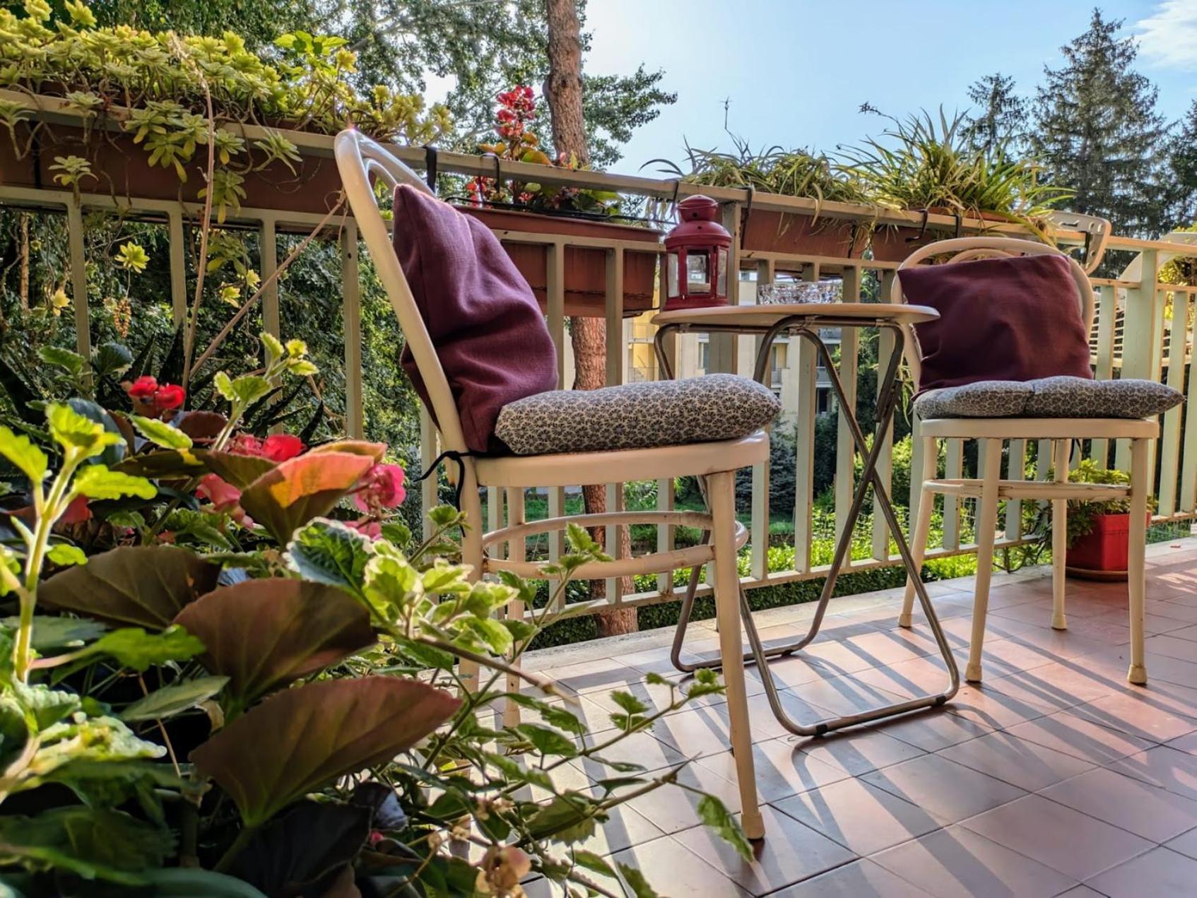 Appartamento Viale Puccini - Free Gated Parking - 3 Minutes From Center Λούκα Εξωτερικό φωτογραφία